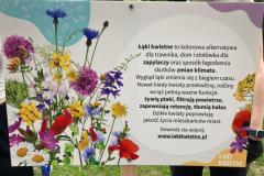 IMG-20240528-WA0026