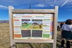 IMG-20230328-WA0022